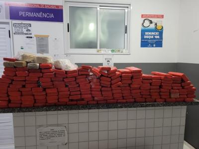 Polícia apreende cerca de 170 kg de maconha em Alto Alegre do MA